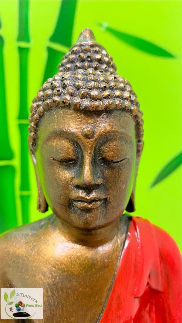 Bouddha Gautama – Image 2