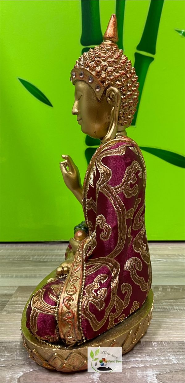 Bouddha Gautama – Image 5