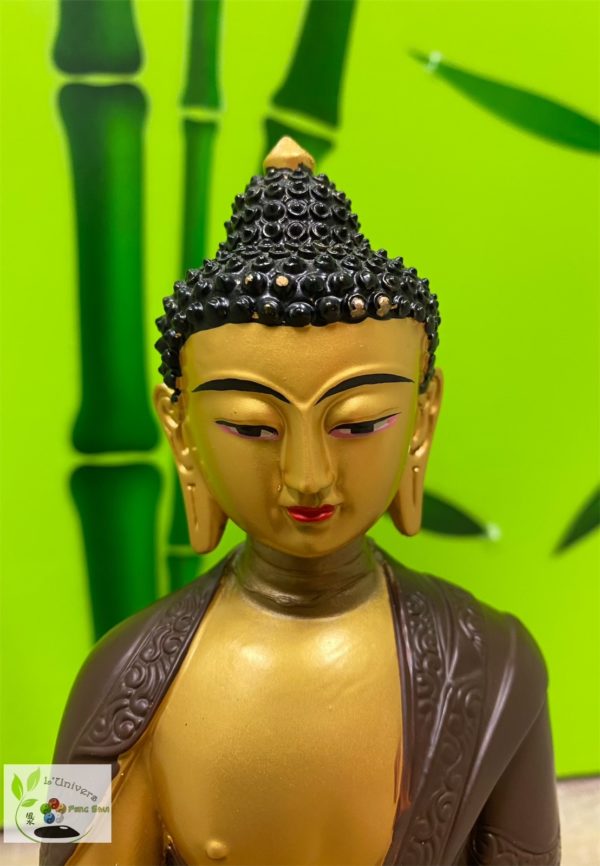 Bouddha Gautama – Image 2