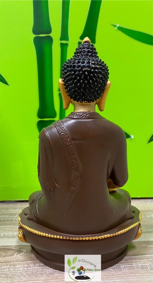 Bouddha Gautama – Image 4