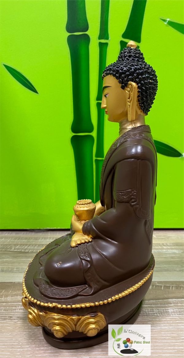 Bouddha Gautama – Image 5