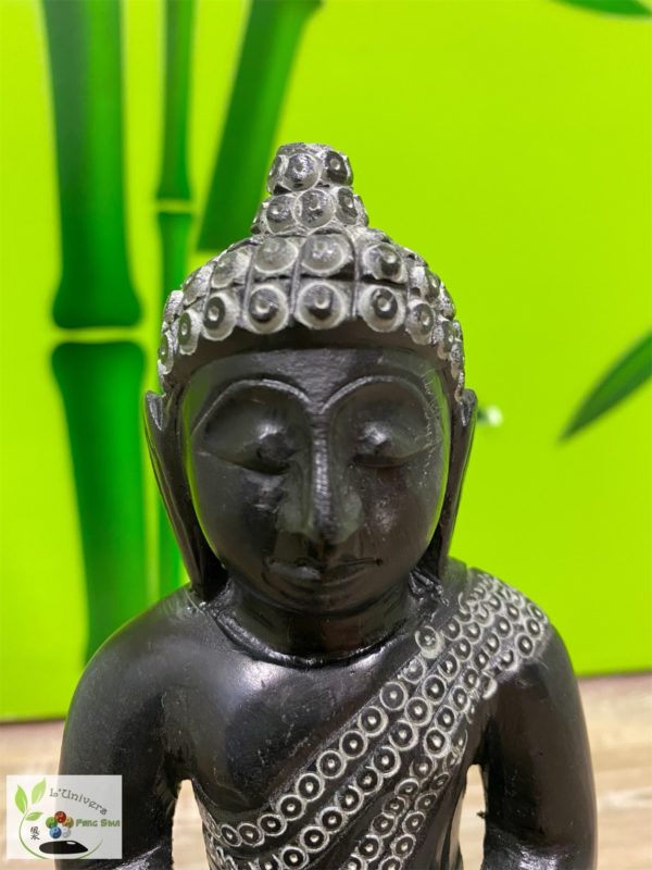 Bouddha Gautama – Image 2