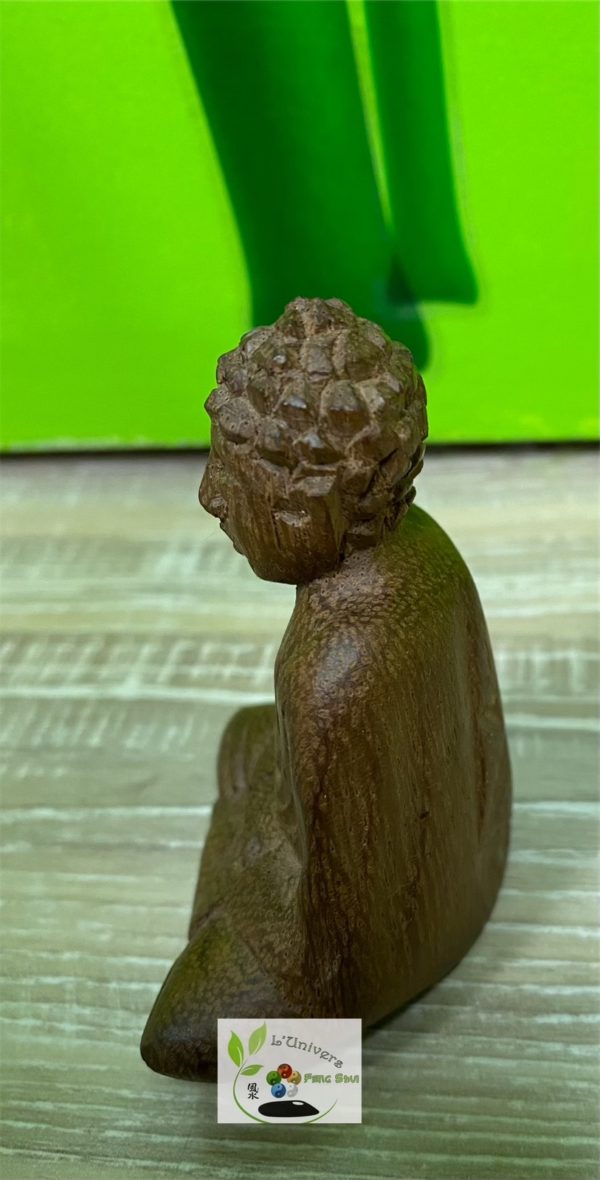 Bouddha Gautama – Image 4