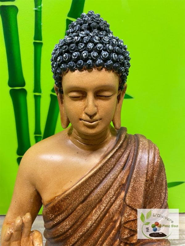 Bouddha Gautama – Image 2