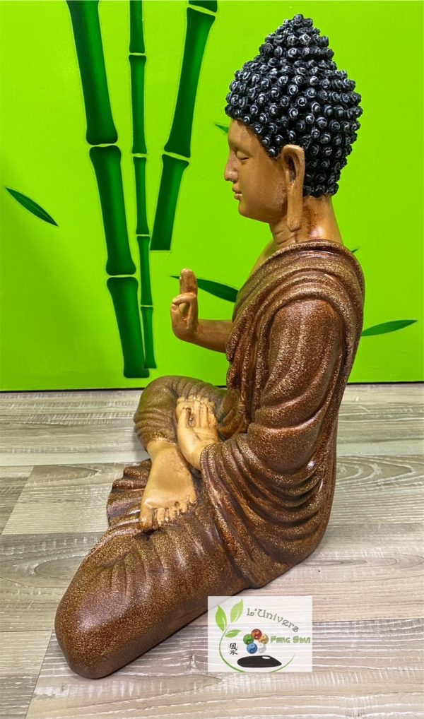 Bouddha Gautama – Image 5