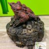 Crapaud à 3 pattes – Image 2