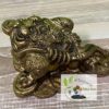 Crapaud à 3 pattes – Image 4