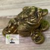 Crapaud à 3 pattes – Image 2