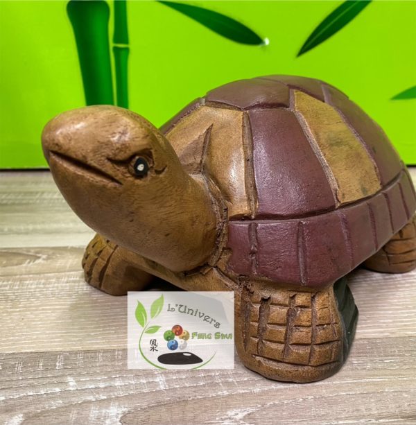 Tortue