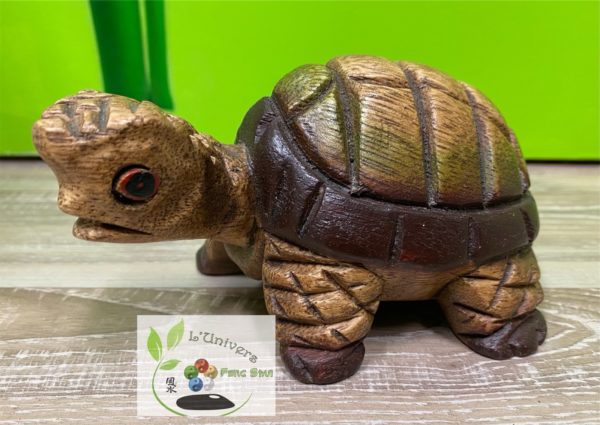 Tortue