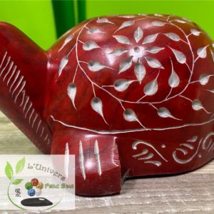 Tortue