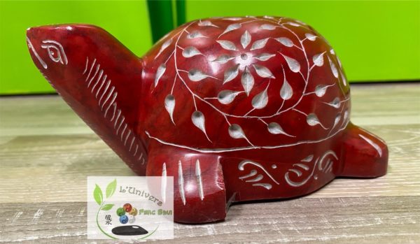 Tortue