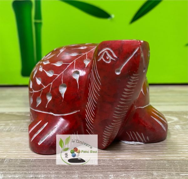 Tortue – Image 2