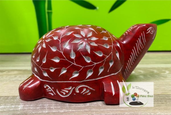 Tortue – Image 3