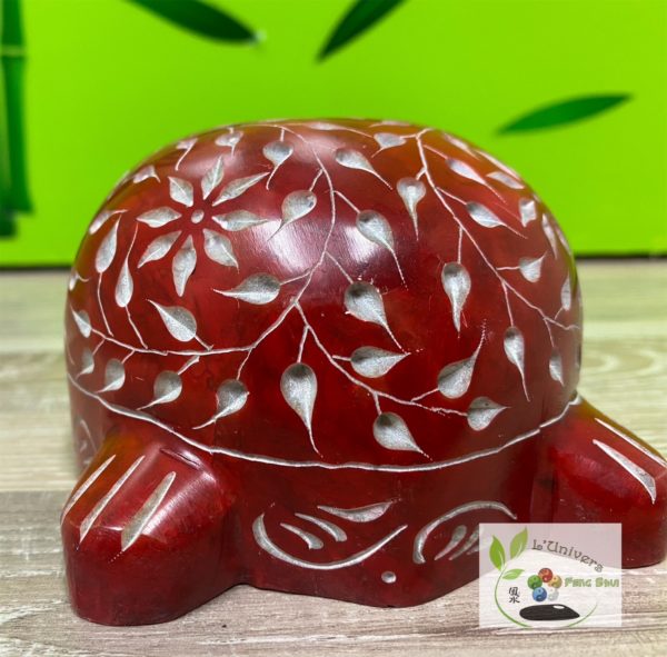 Tortue – Image 4