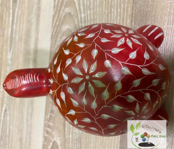 Tortue – Image 5