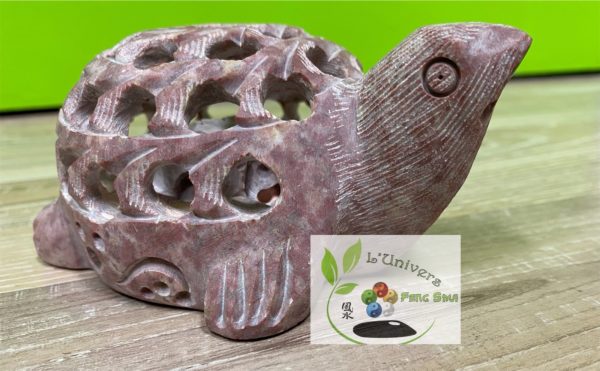 Tortue – Image 2