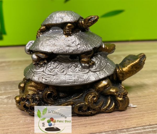 Tortue – Image 4