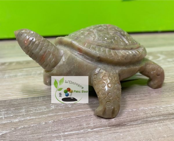 Tortue