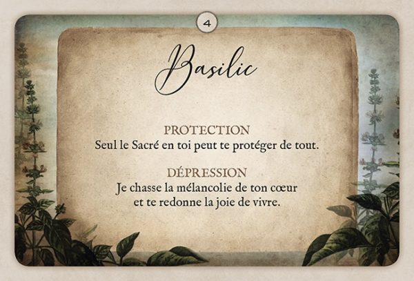L'oracle de phytothérapie de mademoiselle mille pétales – Image 4
