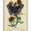 L'Oracle des fleurs enchantées – Image 4
