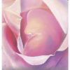 Fantasia – Image 4