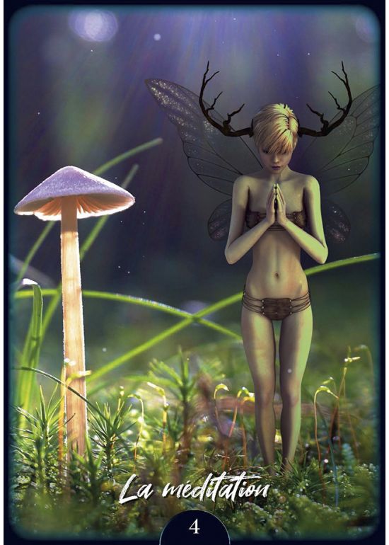 L'Oracle de Shine – Image 5