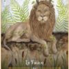 Les Saisons de la Sorcière – Image 8