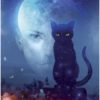 L'Oracle des chats fantasy – Image 3