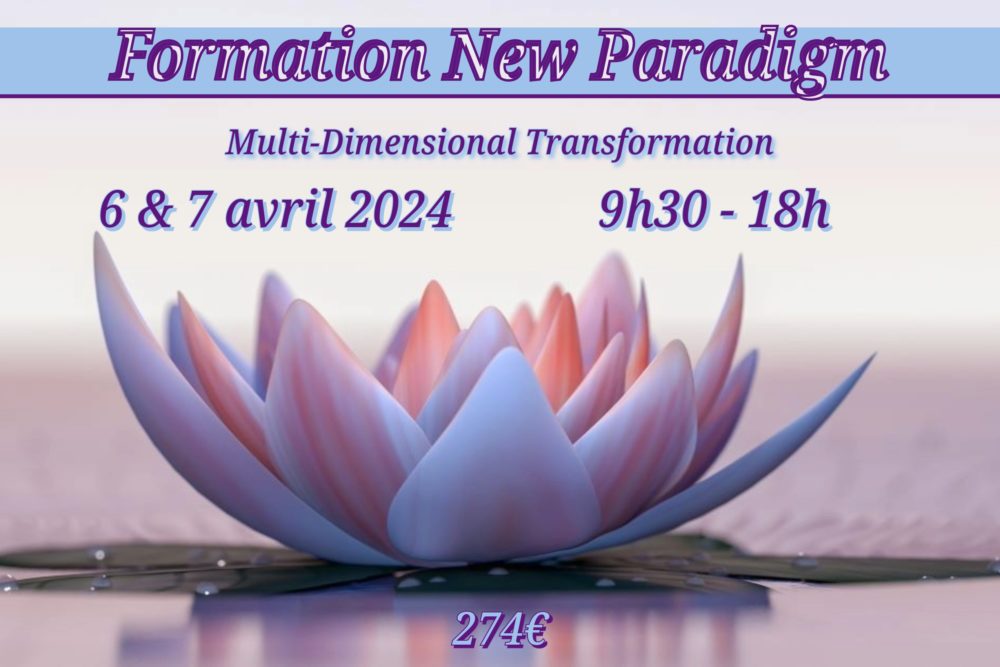 New Paradigm 2024-2 (1)