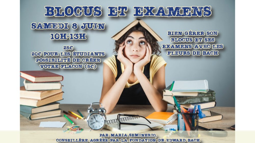 Blocus FB-2 (1)