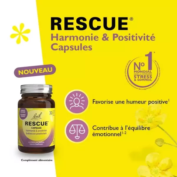 Harmonie Et Positivité – Image 2
