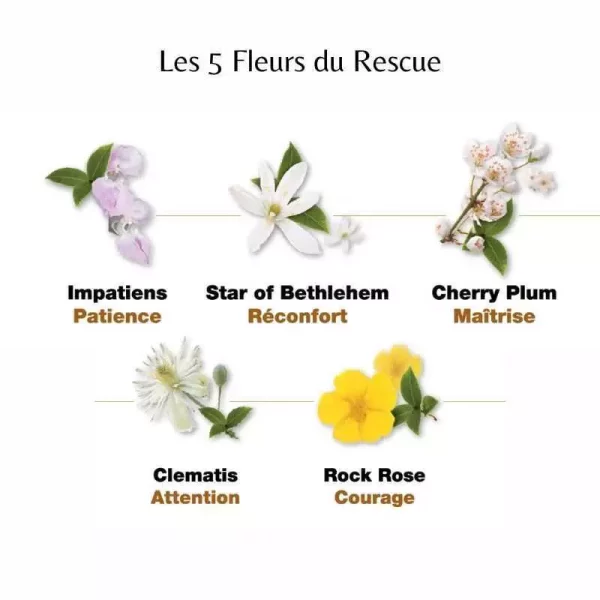 Harmonie Et Positivité – Image 4